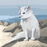 Profile picture of ILYASS BL